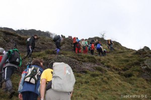 img_1241554843_28