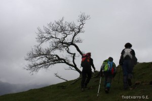 img_1241554845_264