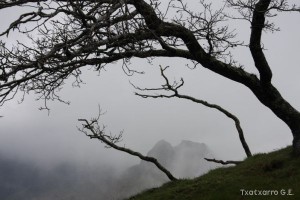 img_1241554845_795