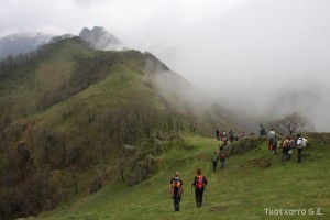 img_1241554846_224
