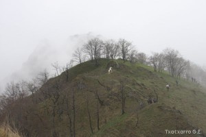 img_1241554846_800
