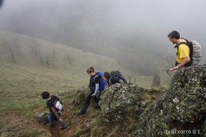 img_1241554847_57