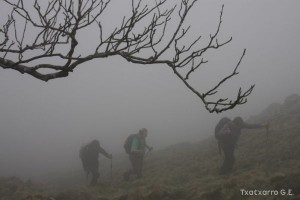 img_1241554847_688