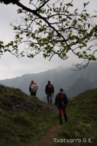 img_1241554851_485
