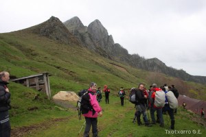 img_1241554851_603