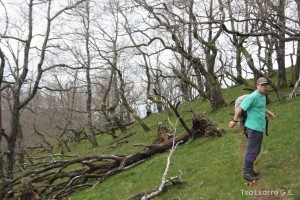 img_1241554851_796
