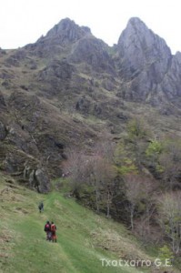 img_1241554851_990