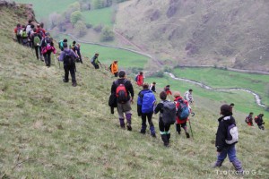 img_1241554852_472