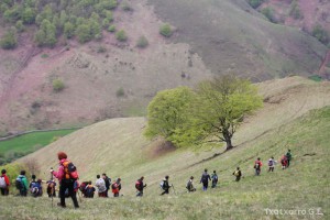 img_1241554852_499