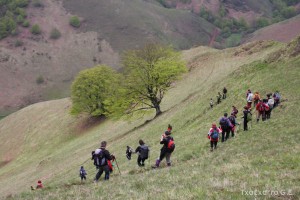 img_1241554852_773
