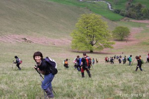 img_1241554853_710