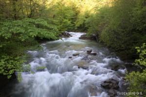 img_1241554853_815