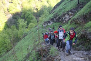 img_1241554854_287
