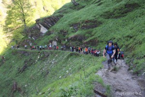 img_1241554854_506