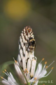 img_1241554855_645