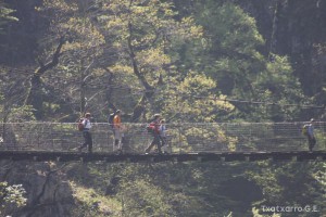 img_1241554856_294