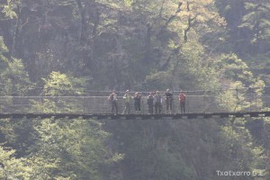 img_1241554856_530