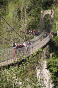 img_1241554857_73