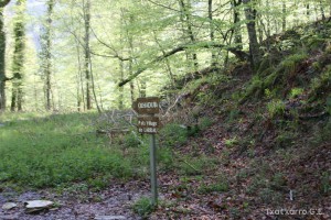 img_1241554858_764