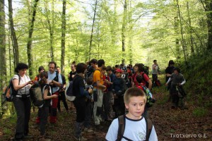 img_1241554859_812