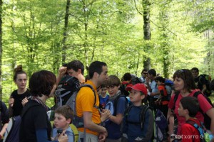 img_1241554859_930