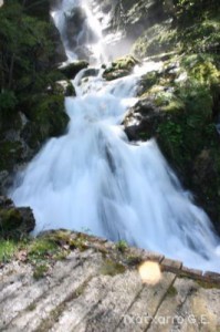 img_1241554860_484