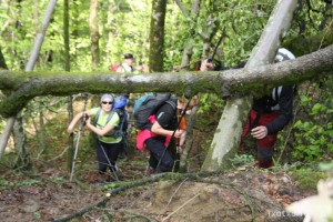 img_1241554860_654