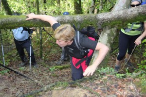 img_1241554861_447