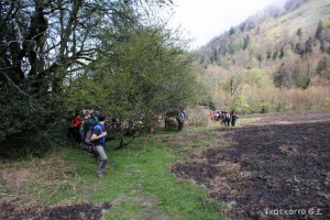 img_1241554865_496
