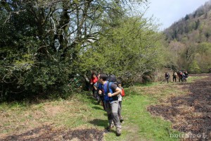 img_1241554865_745