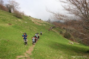 img_1241554865_998