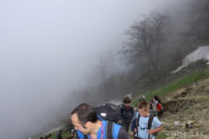 img_1241554866_230