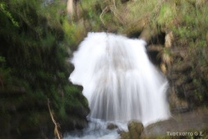 img_1241554873_759