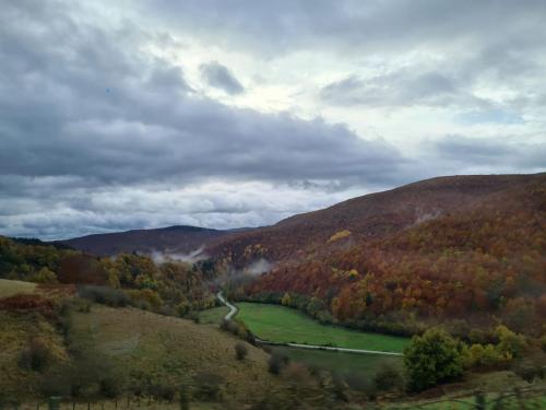 IMG-20211031-WA0013
