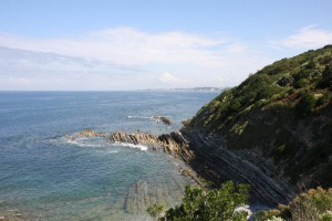 IMG_3330