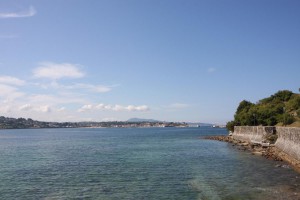 IMG_3354