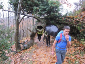 IMG_2965