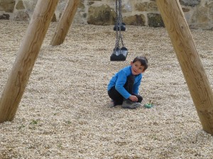 IMG 0010