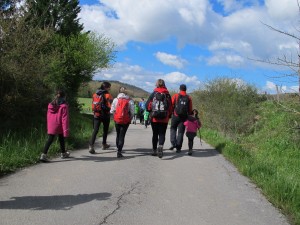 IMG 0011