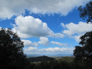 IMG 0021
