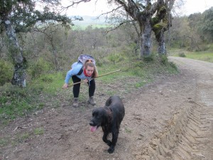 IMG 0027(2)
