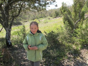 IMG 0034(2)