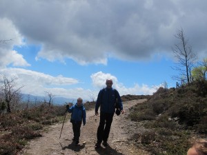 IMG 0049