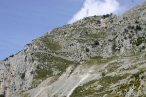 img_1210012060_437
