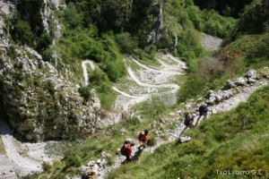 img_1210012060_461