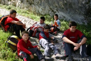 img_1210012060_541