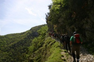 img_1210012060_827