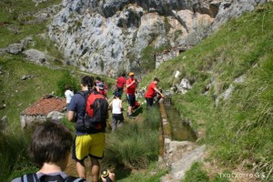 img_1210012061_771