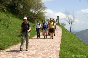 img_1210012063_240