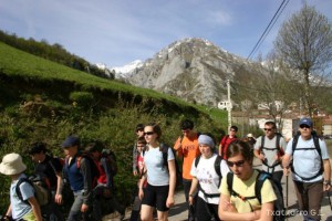 img_1210012065_243